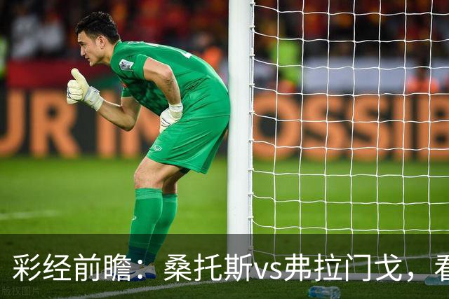 彩经前瞻：桑托斯vs弗拉门戈，看好客队不败而归
